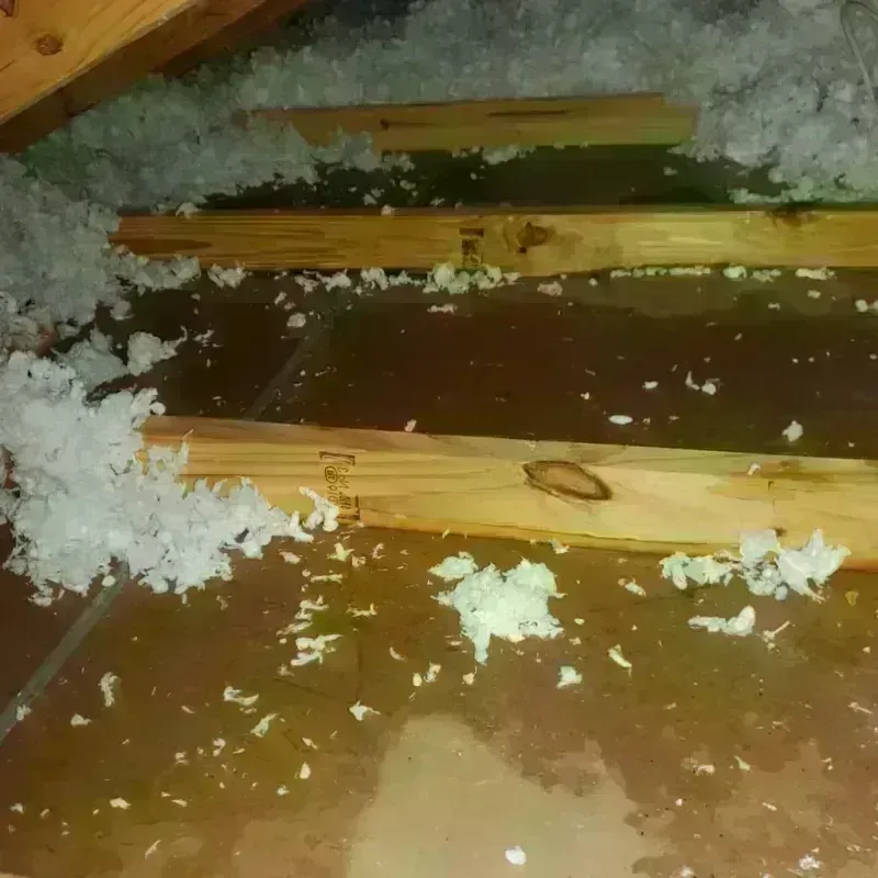 Attic Water Damage in Roosevelt County, NM