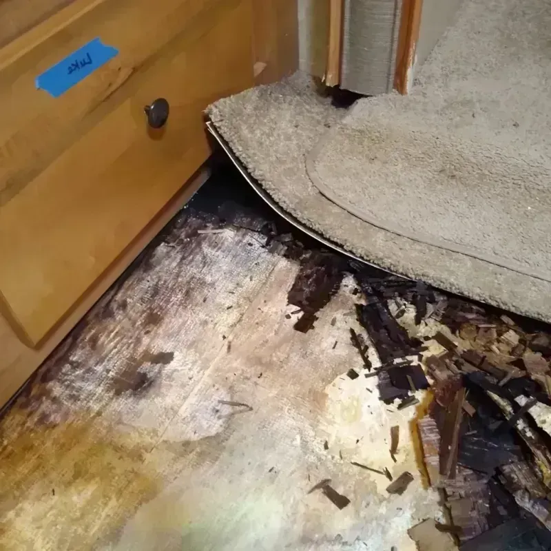 Best Wood Floor Water Damage Service in Roosevelt County, NM